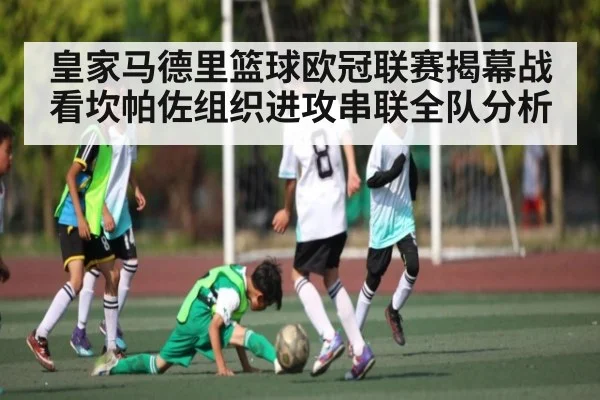 皇家马德里篮球欧冠联赛揭幕战看坎帕佐组织进攻串联全队分析