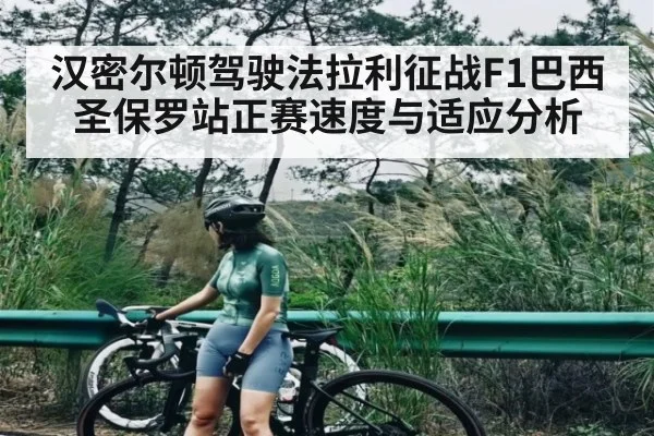 汉密尔顿驾驶法拉利征战F1巴西圣保罗站正赛速度与适应分析