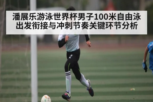 潘展乐游泳世界杯男子100米自由泳出发衔接与冲刺节奏关键环节分析